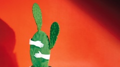 Hände aus Papier umarmen einen Kaktus