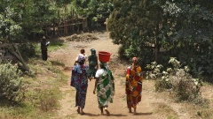 Nahe des Dorfes Baba bei Bamenda, Kamerun.
