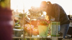 Evangelische Bildungswerk München bietet Gartenarbeit an Hochbeeten für Trauernde an.