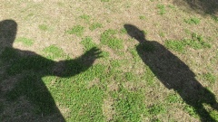 Schatten von Erwachsenem und Kind auf Rasen