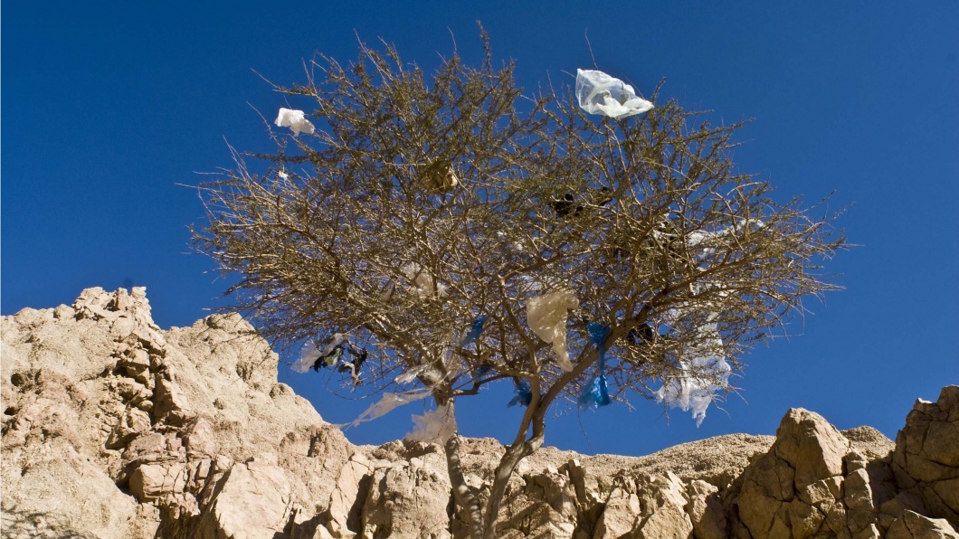 Plastiktüten hängen in einem Baum in Ägypten, Afrika