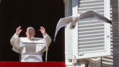 Papst Franziskus spricht am Fenster seinen Segen während des Angelus-Mittagsgebets während eine Möwe vorbei fliegt. 