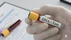 DNA-Test in Hand