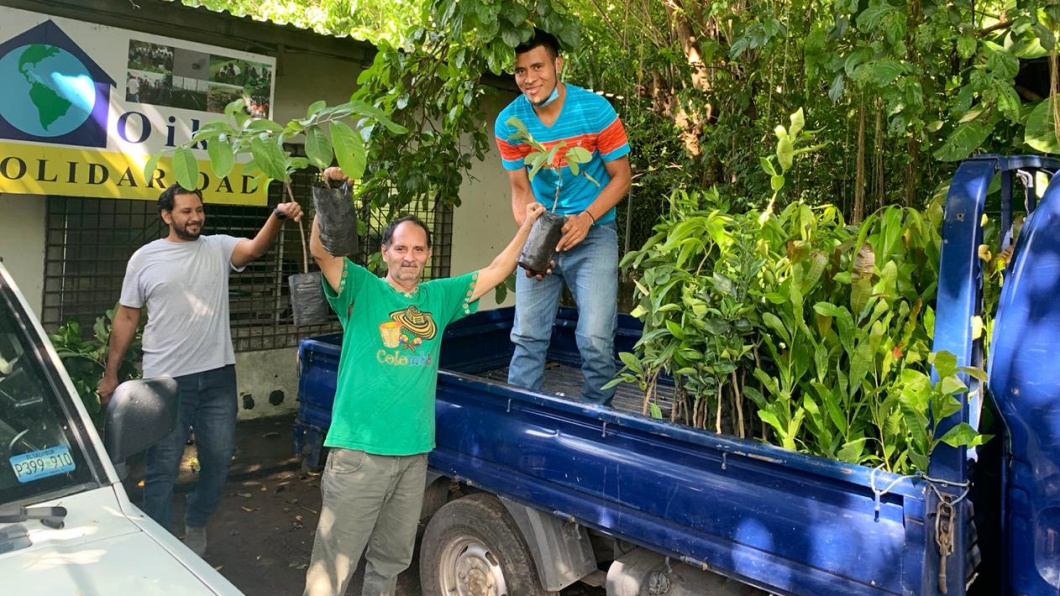 José Guillermo Rivera Cruz, 61 Jahre, steht mit zwei jüngeren Männern an einem Pickup, der Pflanzen geladen hat. Die drei lächeln. Herr Cruz arbeitet seit 22 Jahren für die NGO Oikos Sodaridad und ist der Autor des Textes.