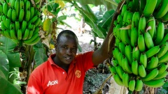 Ruben Murerwas im Bananengarten in Kenia, was vom "Projekt Wasserversorgung" von Brot für die Welt unterstützt wird.