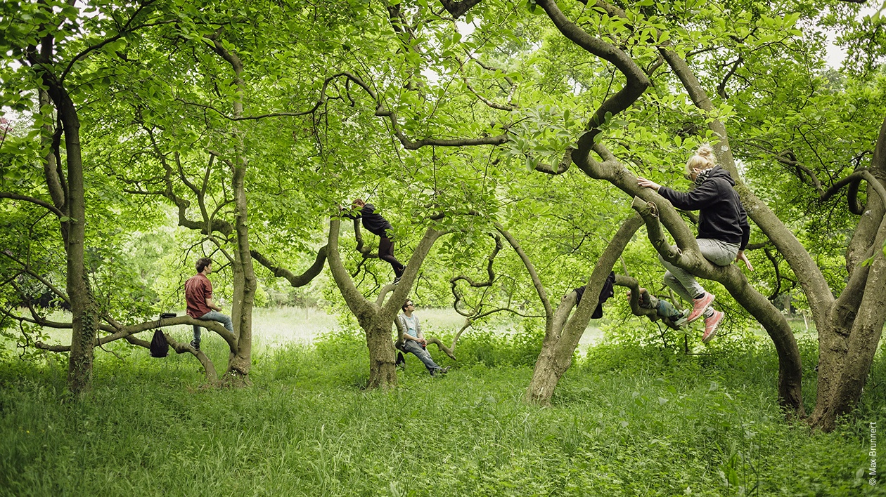 Symbolfoto für den Themenschwerpunkt Natur und Umwelt, junge Leute die verteilt auf verschiedenen Bäumen sitzen