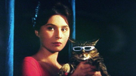 »Cassandra Cat« (1963)