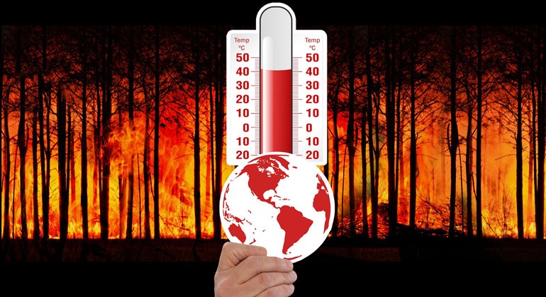 Klimawandel Hitze