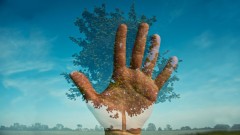 Komponiertes Foto: ein Baum auf einer Wiese, im Vordergrund eine Hand