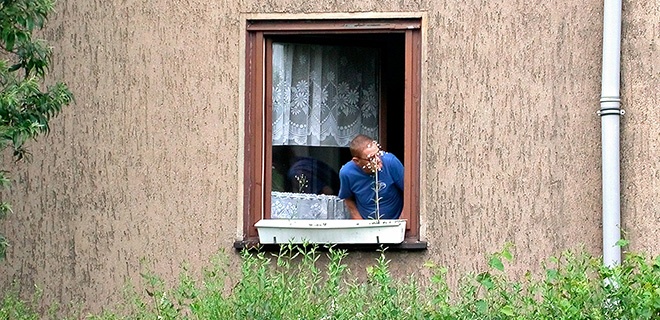 Person schaut aus einem Fenster mit Gardinen und Blumenkasten im Erdgeschoss 