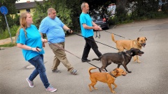 Das dreiköpfige Mainzer Hundetraum-Team Jaqueline Kessler, Peter Fritz und Rolf Scherf (v.li.) geht mit drei Hunden Gassi. 