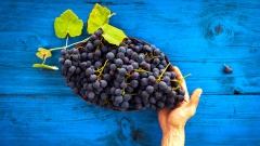 Weintrauben in Schale