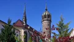 Wittenberger Schlosskirche